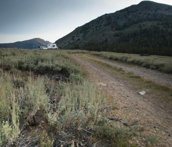 Toiyabe Natl. Forest, August 10, 2015