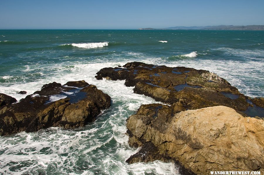 Tomales Bluff