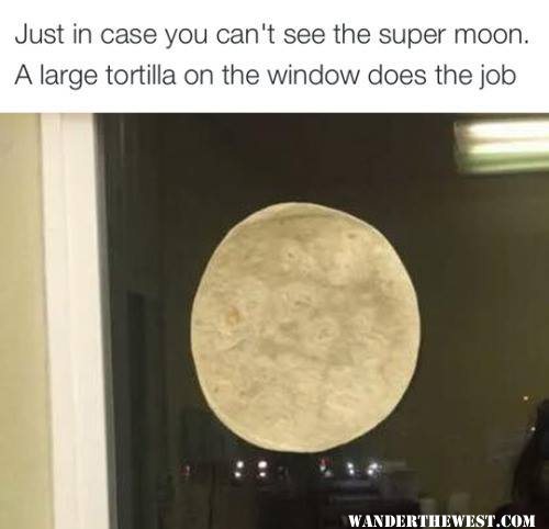 tortilla