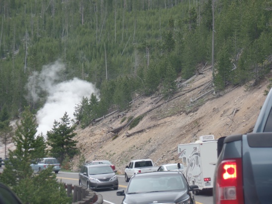 Traffic Jam on the way to Old Faithful