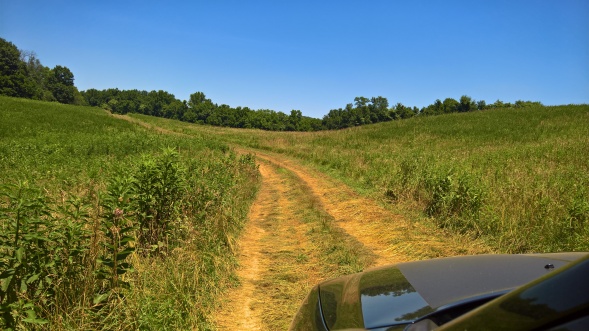 Trail day