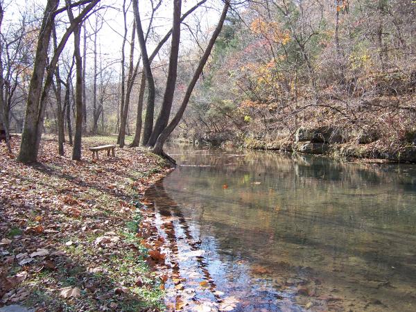 Trail follows the stream