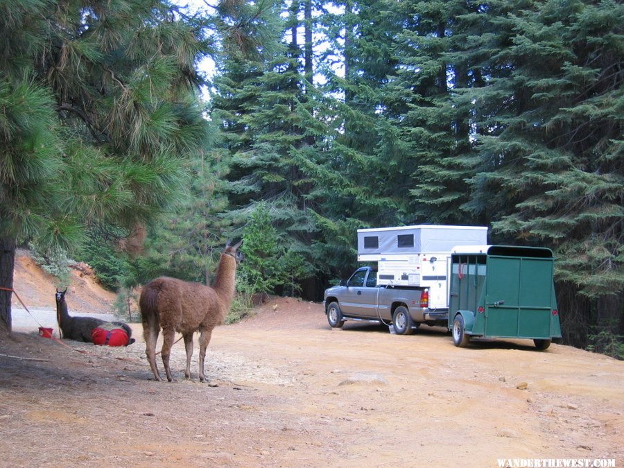 Trail head camp