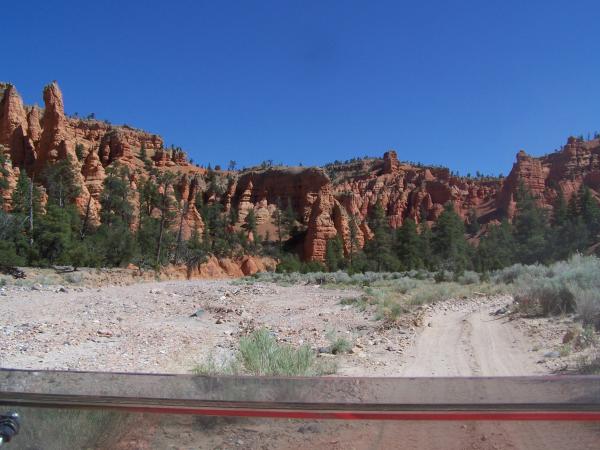 Trail in Castro Canyon, UT., 50 inch trail.