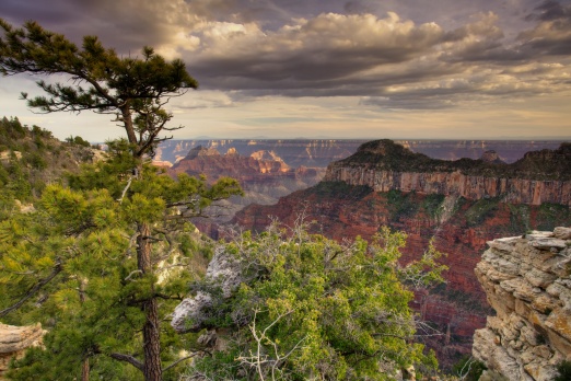 Transept Canyon, North Rim, Grand Canyon