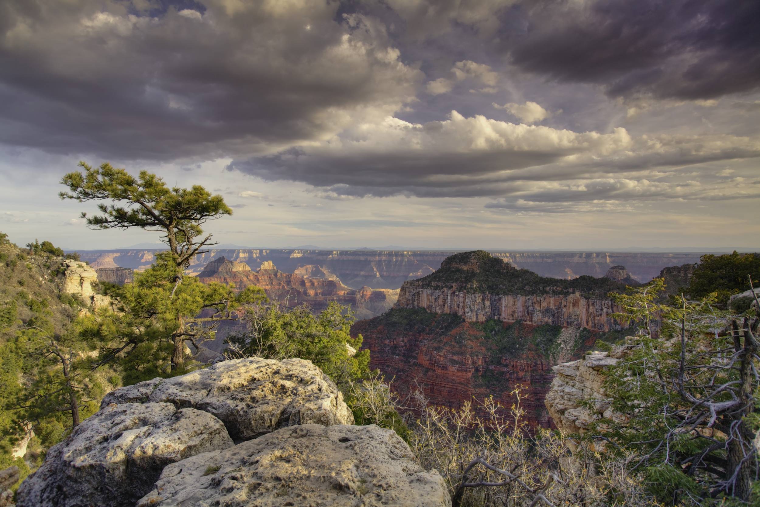 Transept Canyon Trail, North Rim, Grand Canyon NP