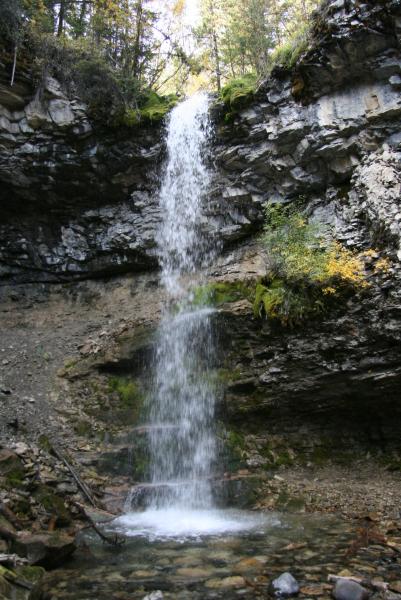 Troll falls