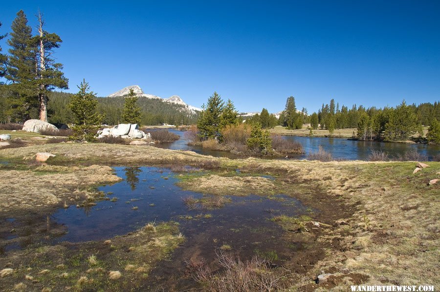 Tuolumne Meadows