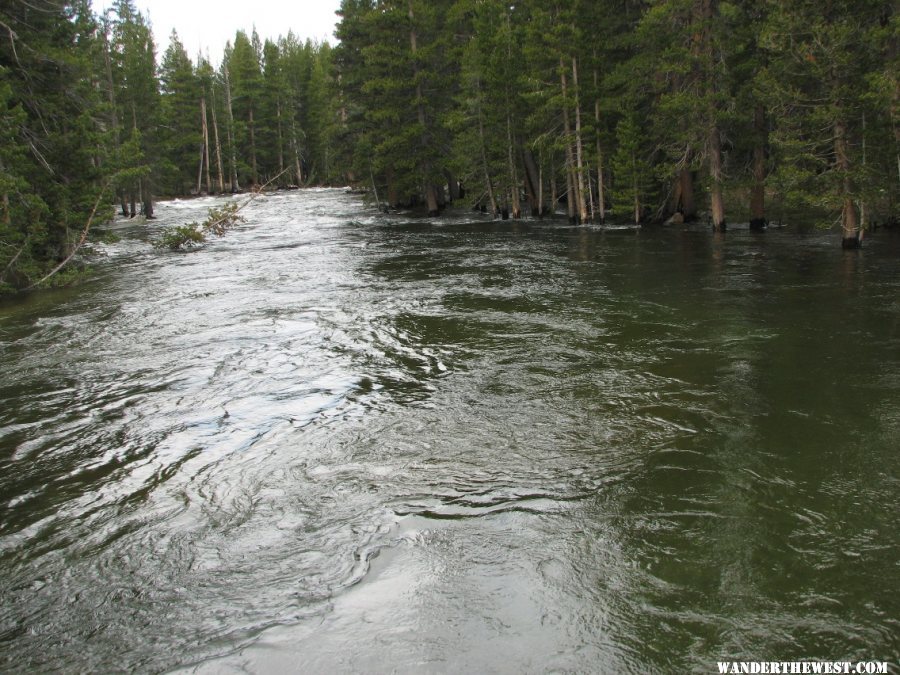 Tuolumne River with high spring runoff.