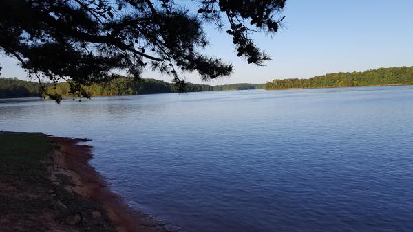 Twin Lakes COE SC. Site 26 view