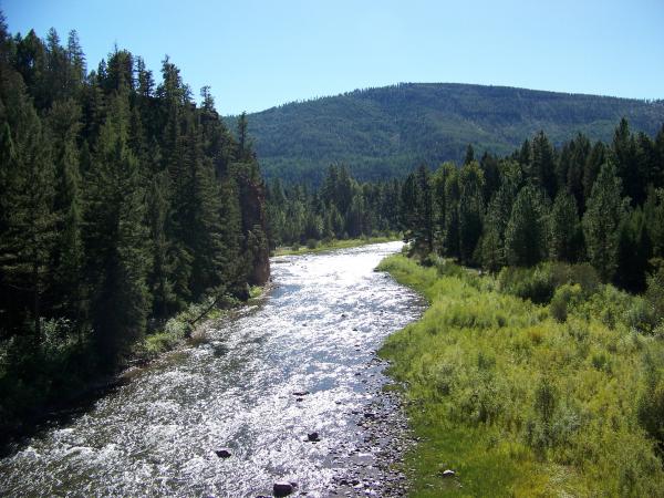 Upper Blackfoot