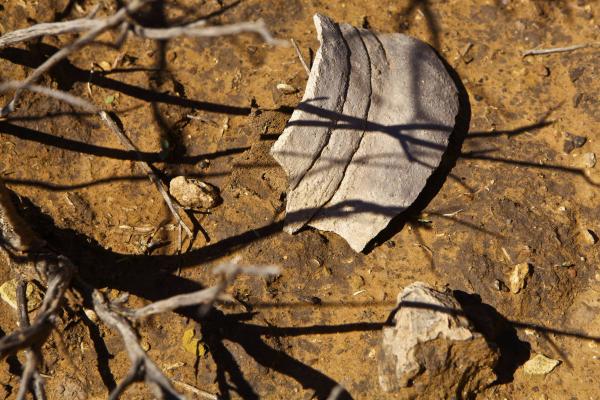 Ute Mountain Tribal Park, Cortez, CO
Pottery shard