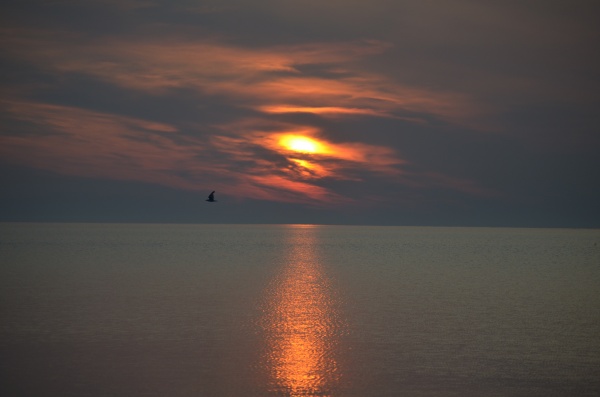 Various stages of sunrise on Lake Huron on Friday, July 10, 2015