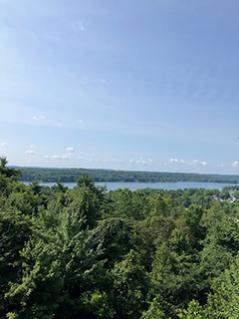 View from atop the observation tower accessible from one of the hiking trails through the Atwood Lake woods.