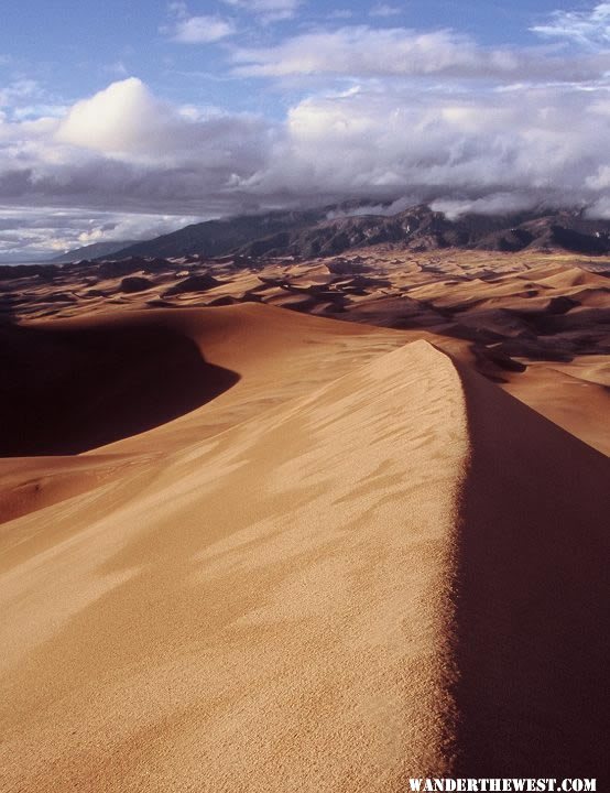 View from High Dune