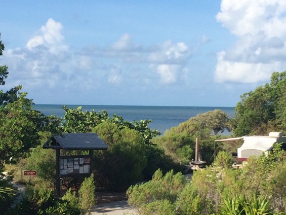 View from Ladder on RV