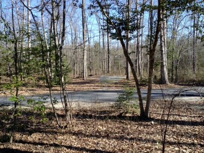 View from our picnic table