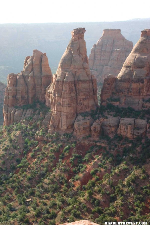 View from the Canyon Rim