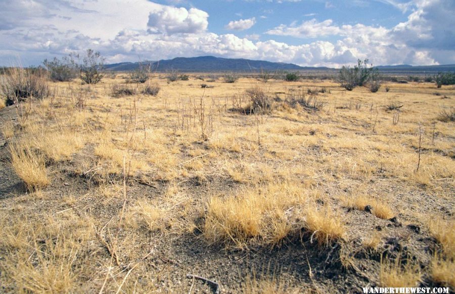 View from the Geology Tour Road