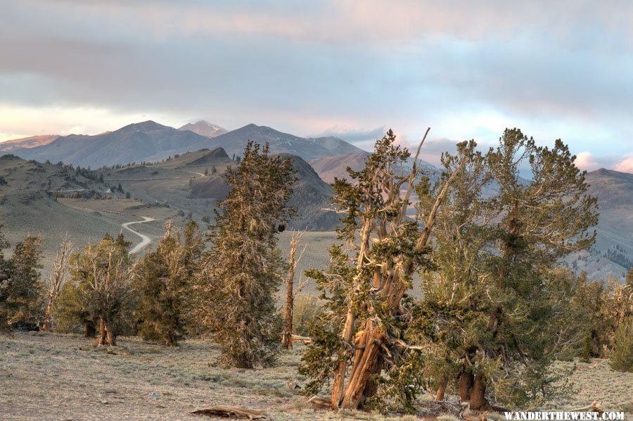 View North from Radio peak Camp