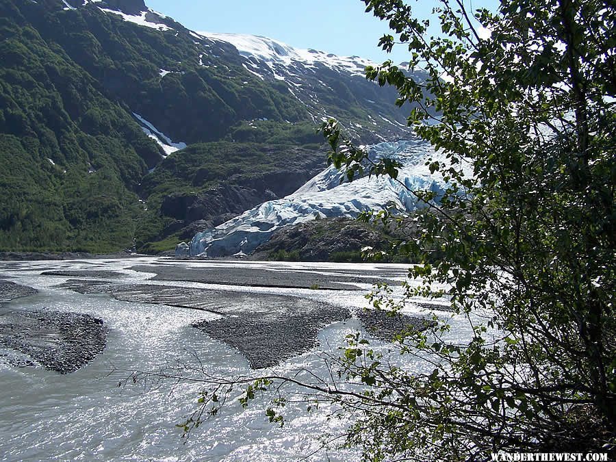 View of Exit Glacier