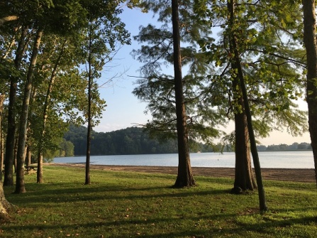 View of lake