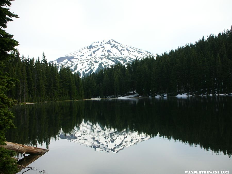 View of Mount Bachelor from Todd Lake Trail