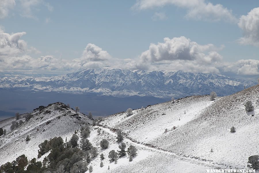 View of Mount Jefferson from Ophir Pass