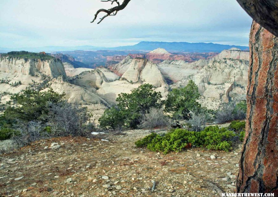 Views from the West Rim Trail