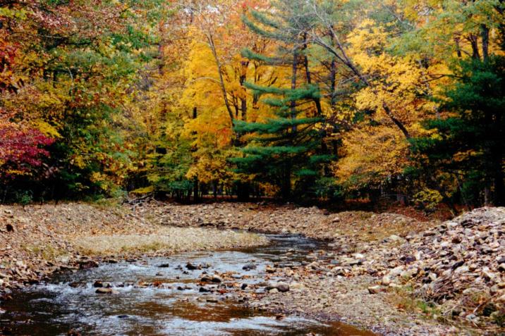 Virginia Douthat State Park....drought year!