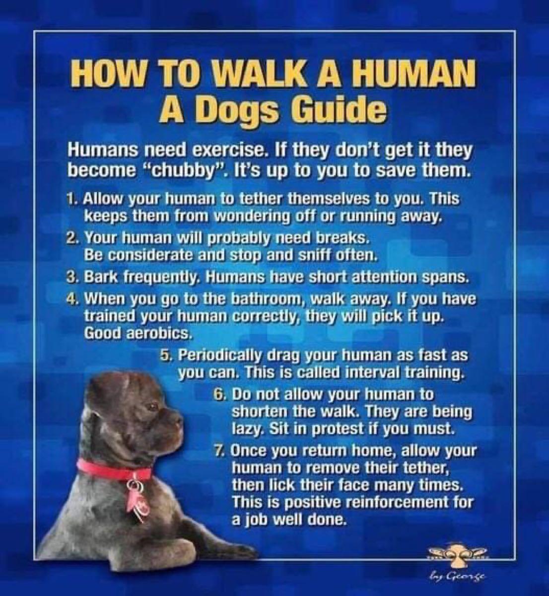 walk a human