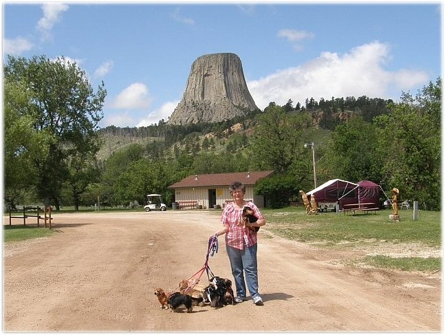 Walking our doxies Devil Tower