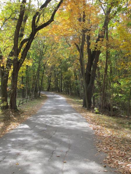 Walking the trail