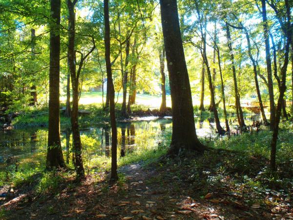 walkway from the campground to the swimming hole - Florida Caverns SP - Memorial Day wkd