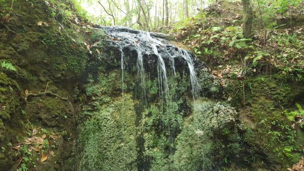 Water Fall at Falling Waters State Park Florida. Campground was bad did not stay there.