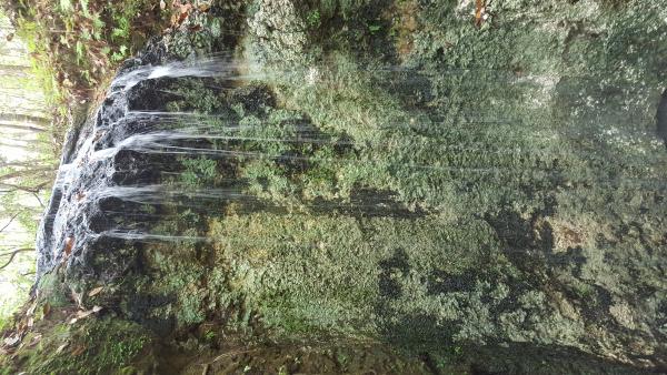 Water Fall at Falling Waters State Park Florida.