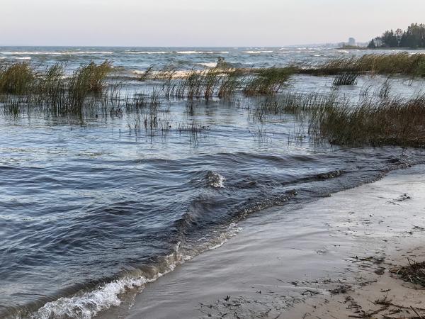 Waves on the Huron Shore