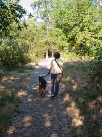 We took our Australian Shepherd (Bear) with us for his second camping trip. Linda and Bear are taking a walk along the Rogue River in the Valley of th