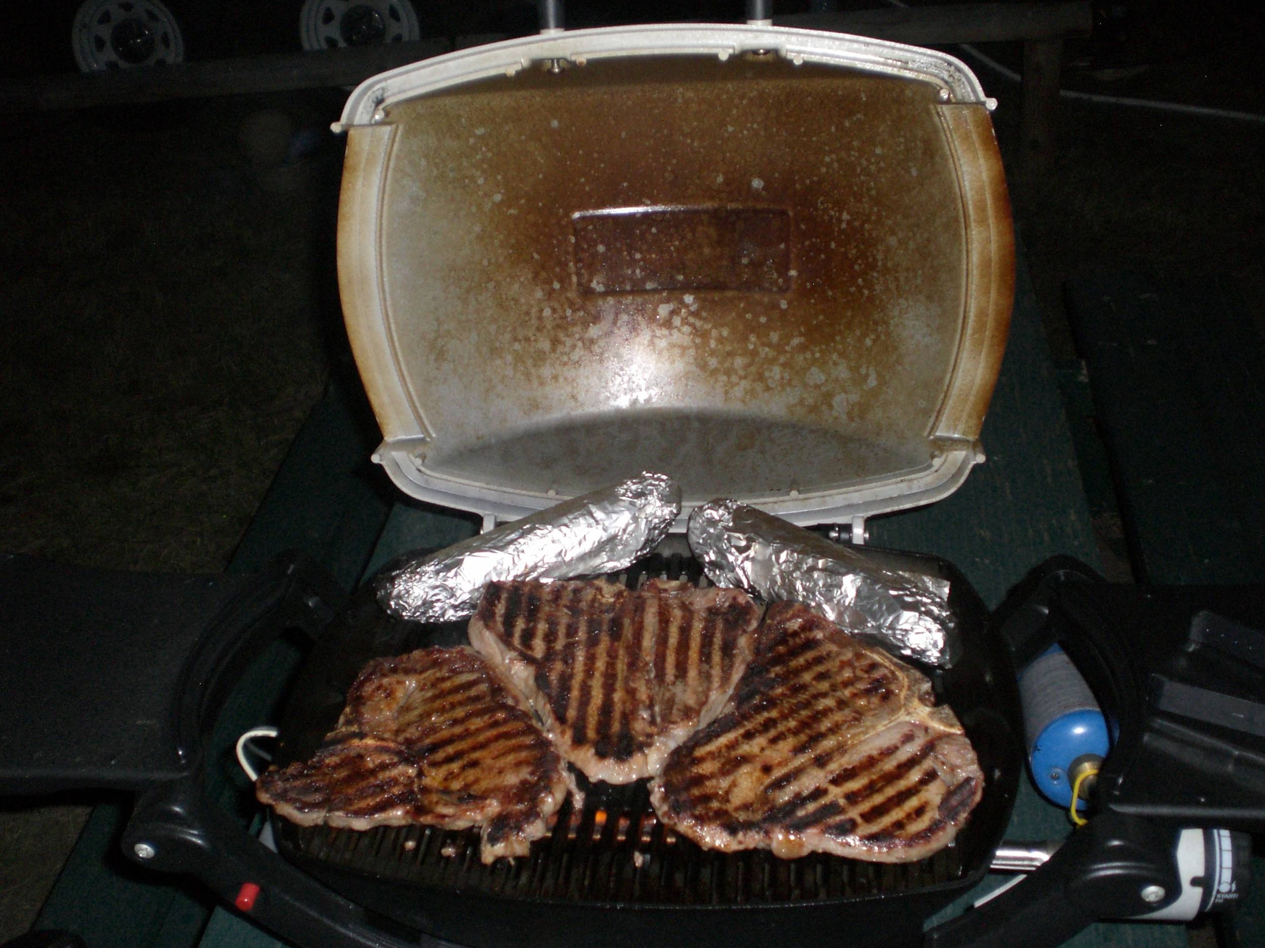 Weber Q100