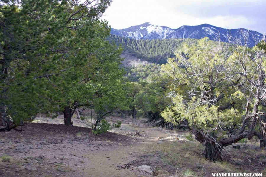 Wellington Ditch Trail is a Flat Mile