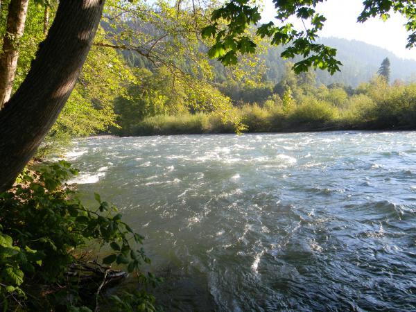 West Fir Oregon - Willamette river - Sept. 2012