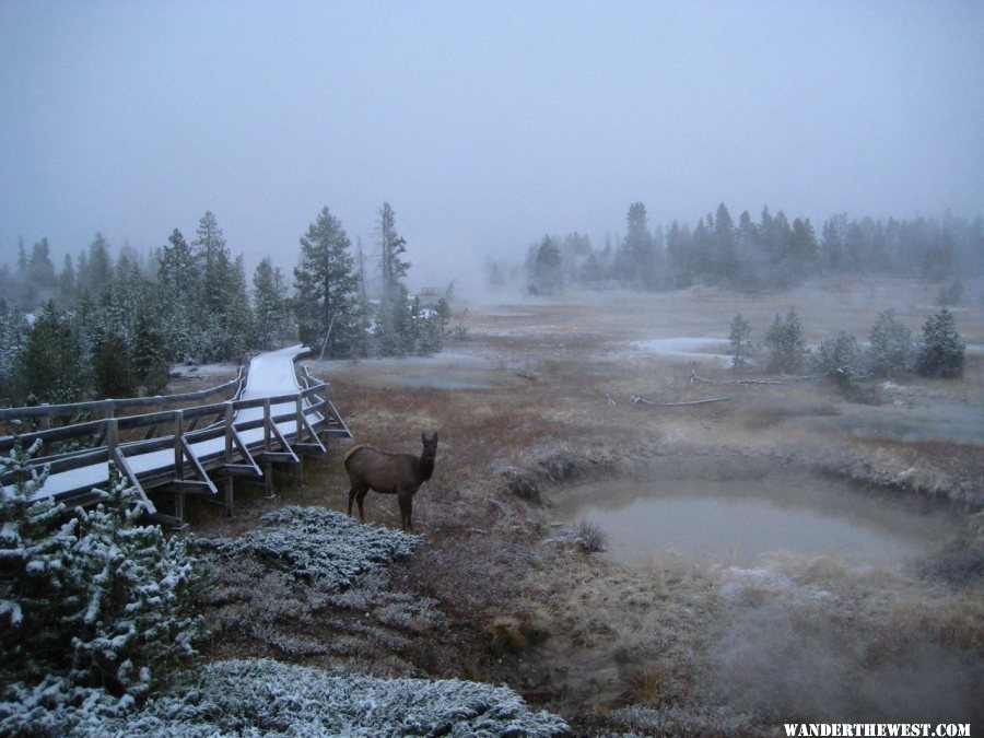 West Thumb Geyser Basin