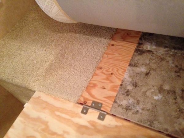 When we got the trailer, it had a musty smell and I finally figured out it was the carpet around and under the bed. What's odd is that the carpet didn