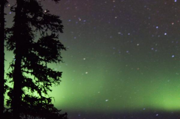 While not a trailer trip had the opportunity to spend a long W/E early April 2018 at Chena Hot Springs Resort outside of Fairbanks, AK. The Aurora fin