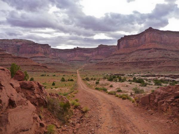 White Rim Trail.