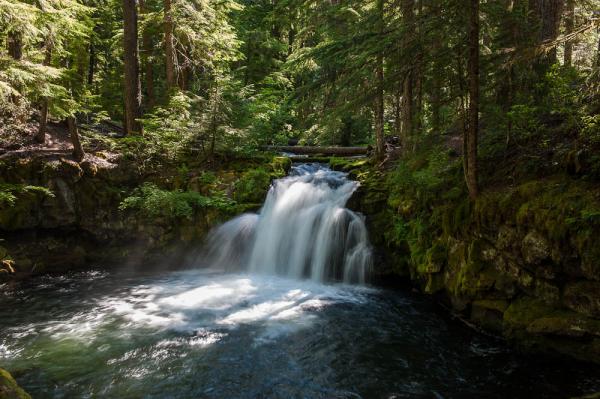 Whitehorse Falls, OR