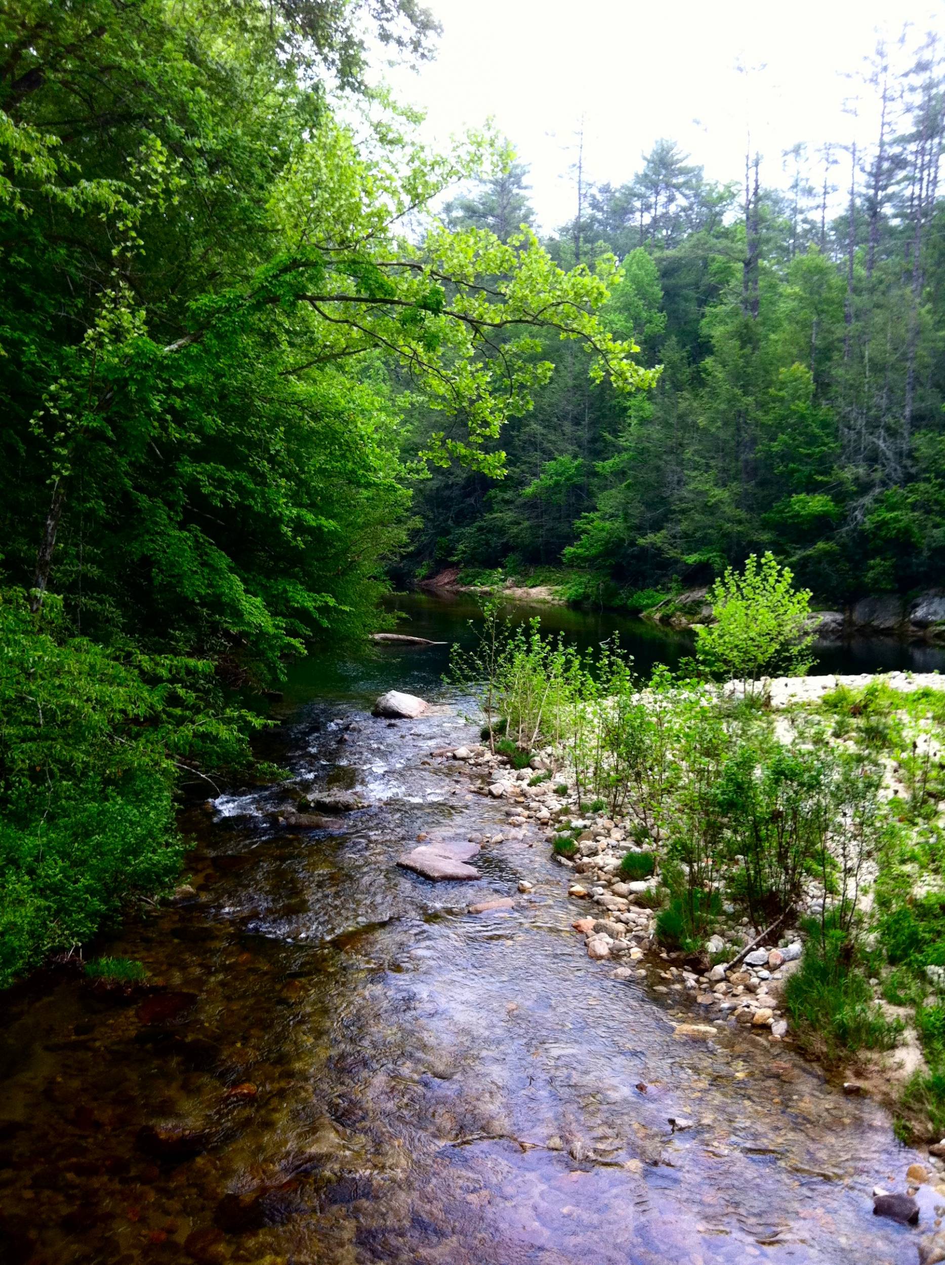 Wilson Creek - NC