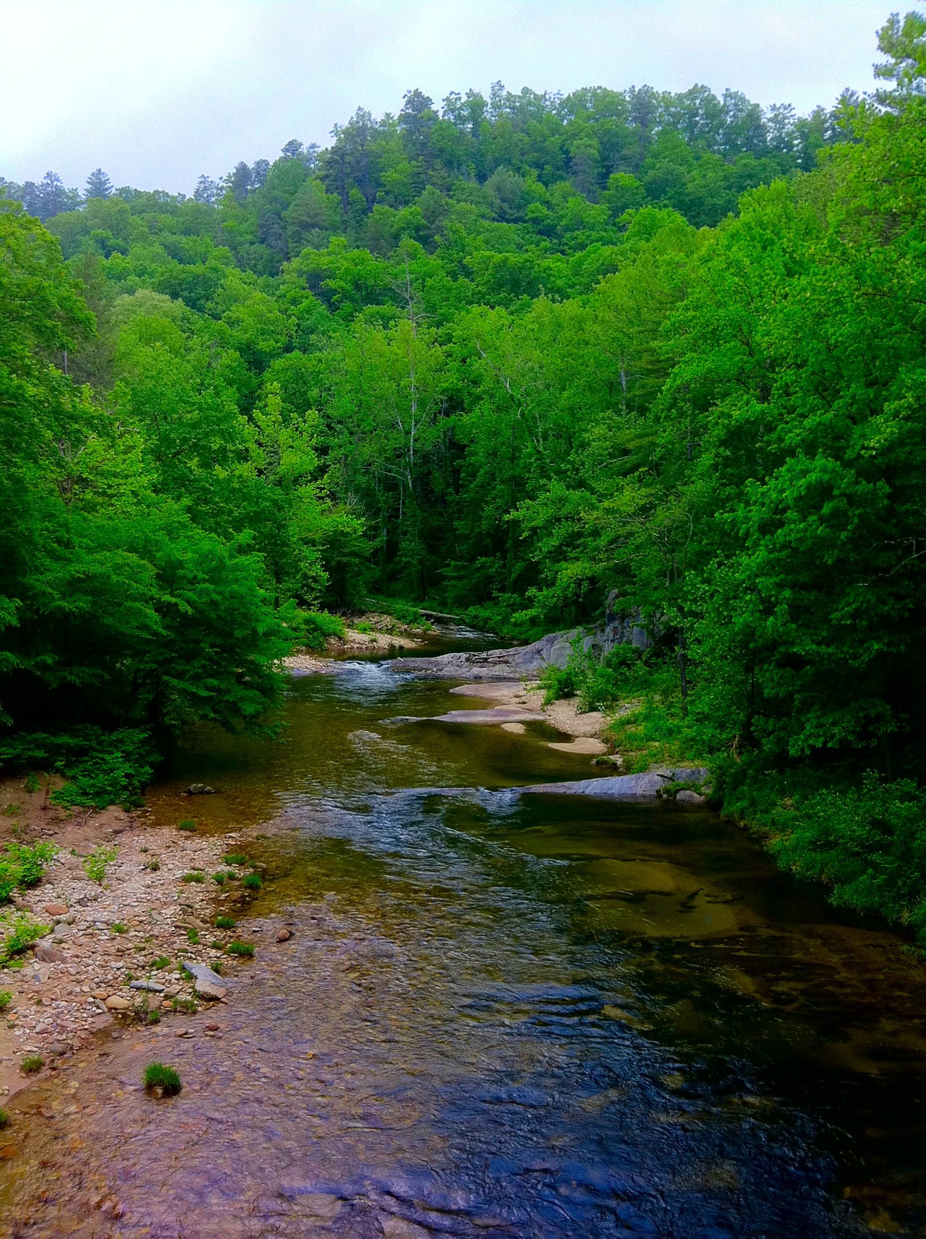 Wilson Creek - NC