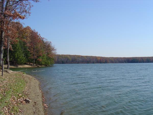 wind on the water