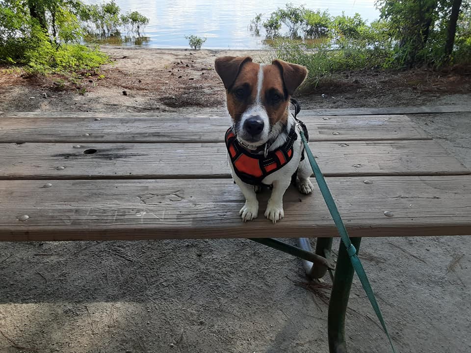 WINFIELD The best was the last. lake views at every camp site and huge pullthrough. Hank had a private beach.